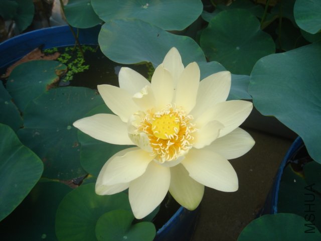 ��ȫ����