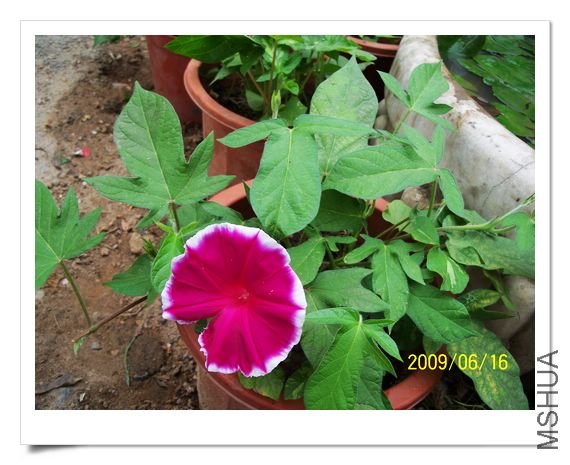 õ��ױ�-��ϵ 158.jpg