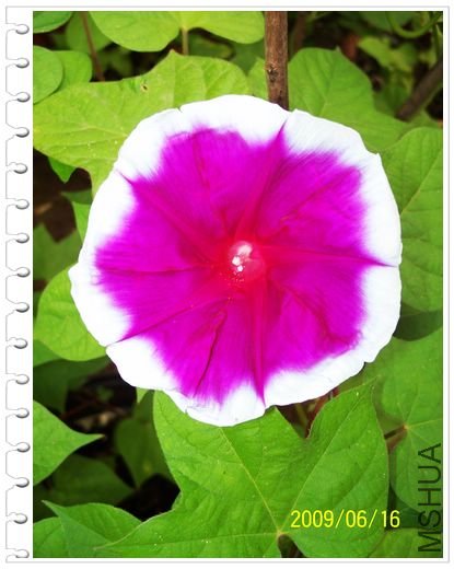 õ��ױ� 152.jpg