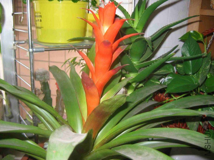 ���� 009.jpg