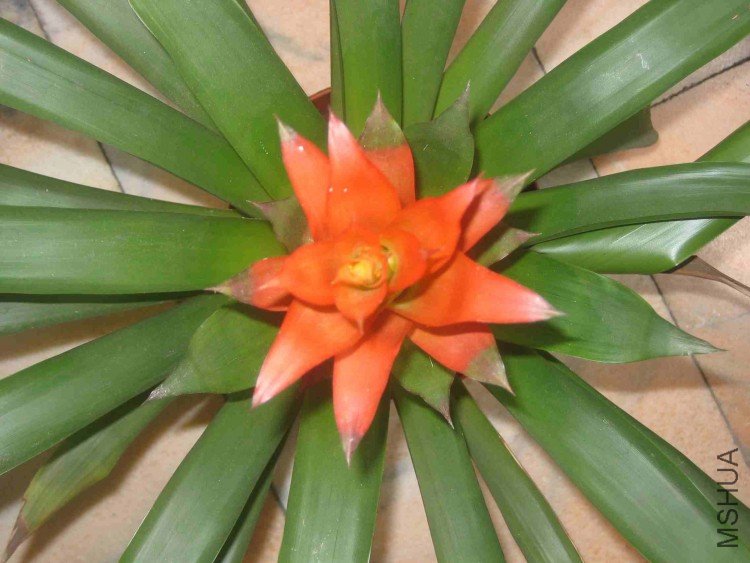 ���� 012.jpg