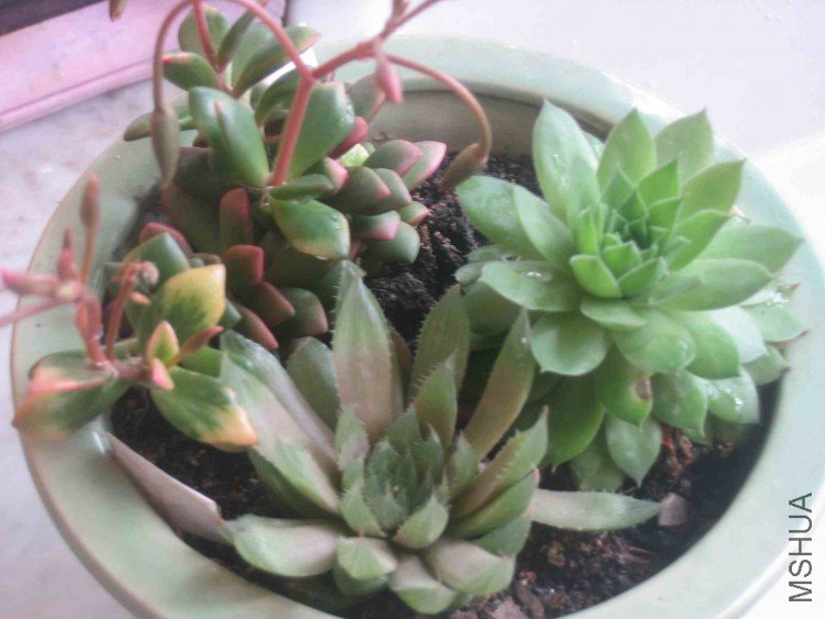 ���� 069.jpg