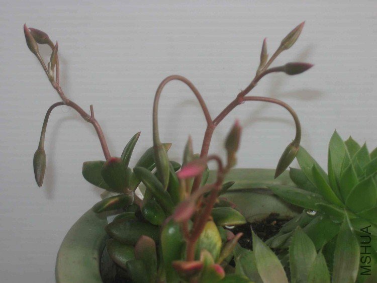 ���� 071.jpg