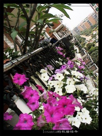 �⼸���ǻ��ѷ�������ͨţ,���׶೤����̨�����ĿþͰ���̨����������,�ֲ������Ĳ���ȫ��,����Ǻ�Ư��,�� ...