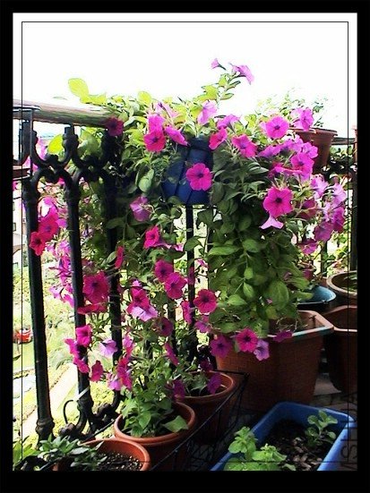 ��������Ĳ�Ǥţ��,���쳤������,��ഹ����һ�׳�