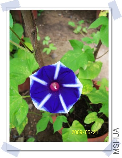 ���� 001.jpg