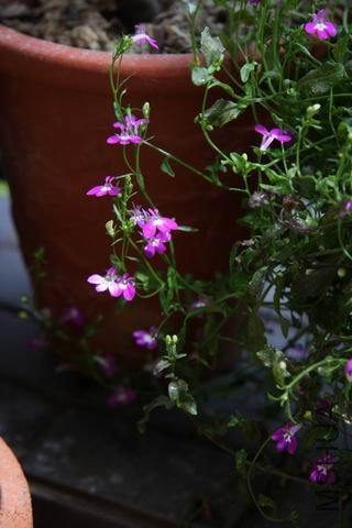 ������С ��Ƭ 1607.jpg