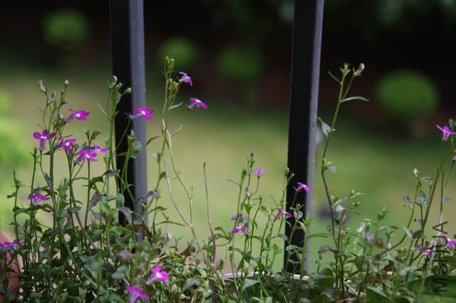 ������С ��Ƭ 1604.jpg