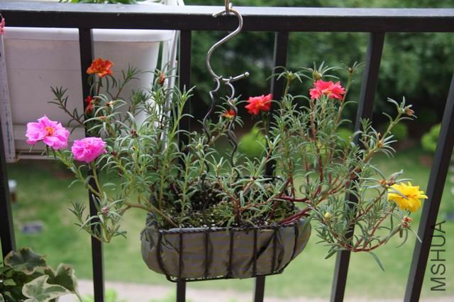 ������С ��Ƭ 1621.jpg