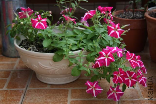 ������С ��Ƭ 1616.jpg