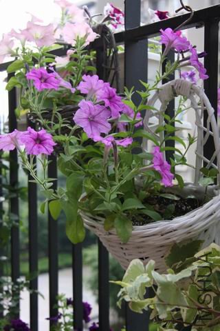 ������С ��Ƭ 1629.jpg