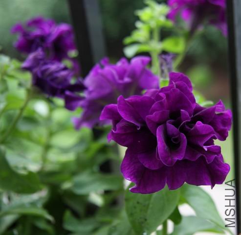 ������С ��Ƭ 1633.jpg