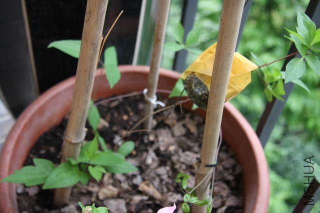 ������С 0620-1.jpg