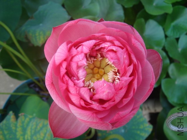 �¿�һ���ذ�ĺ�ɫ