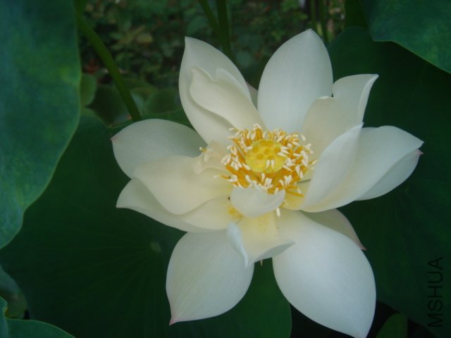 ��ɫ��ȫ����