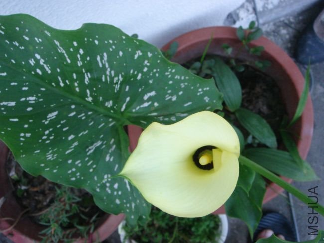 DSC00025.JPG
