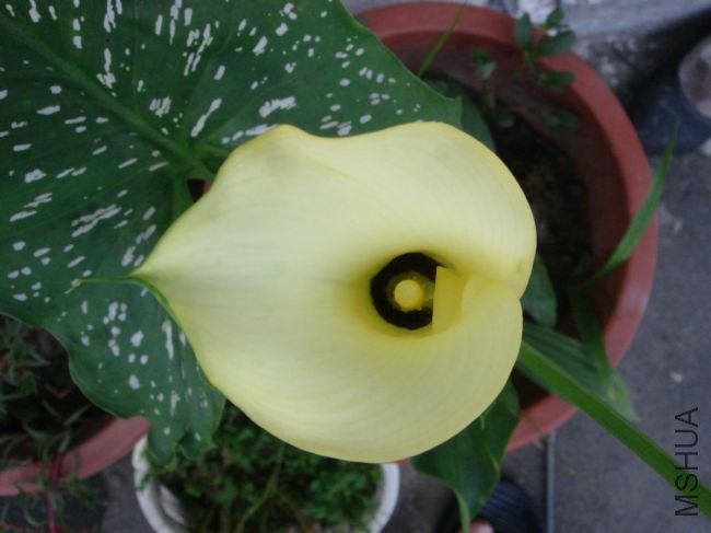 DSC00024.JPG