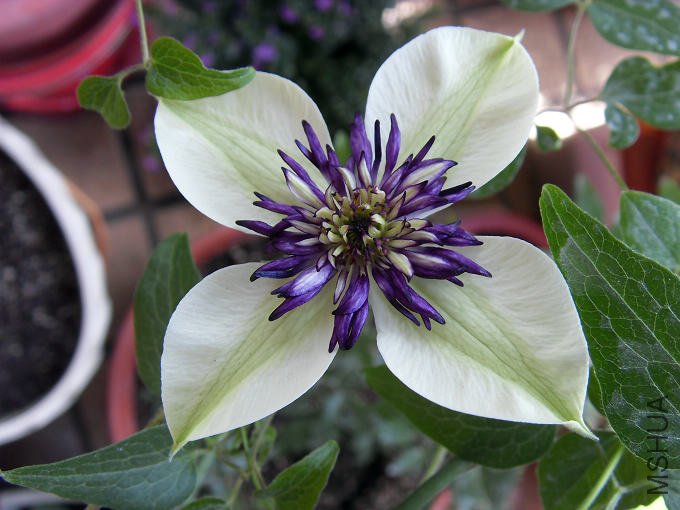 �����4��