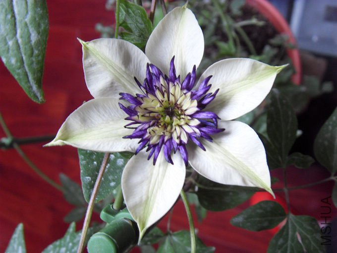 �����6��