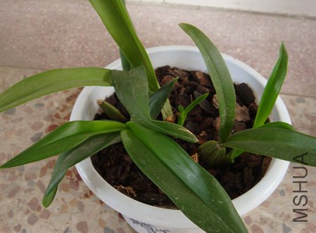 ������Ҳ������ѿ��һֱ���ڽ����Ҷ��������