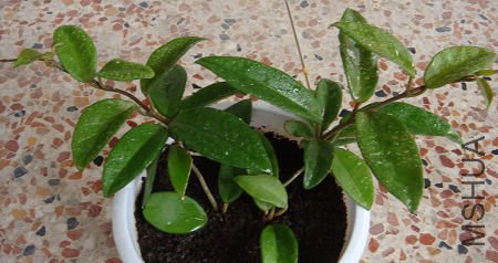 �������˲���