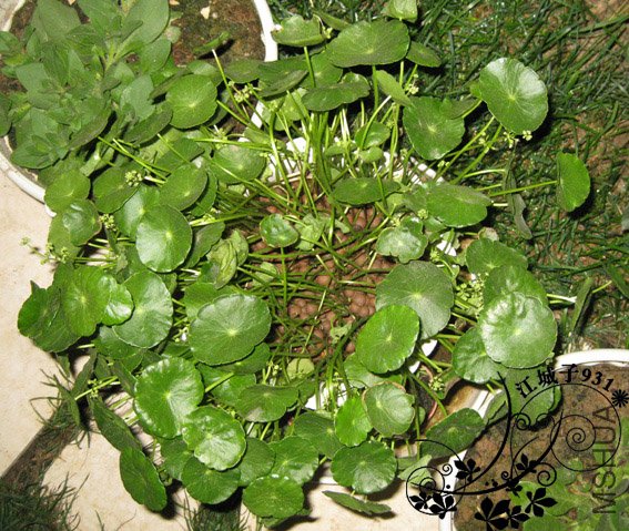 �ָ���ǮǮ.jpg