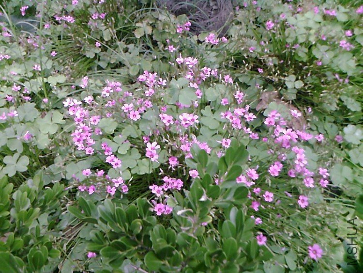 ��Ƭ-0485.jpg