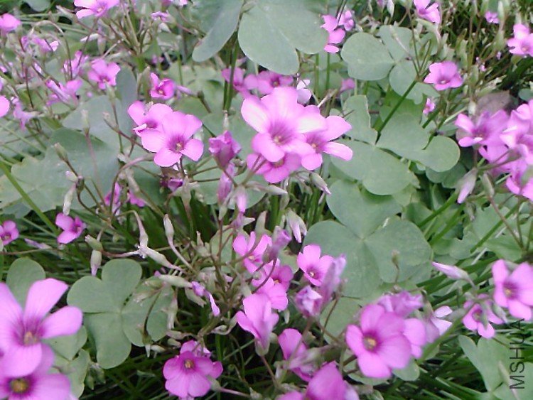 ��Ƭ-0486.jpg