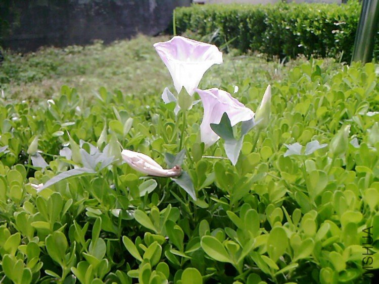 ��Ƭ-0483.jpg