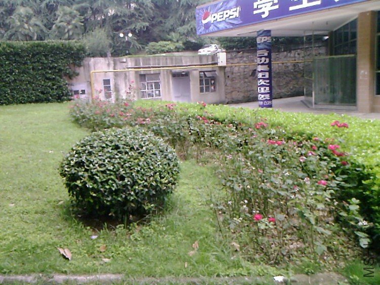 ��Ƭ-0497.jpg