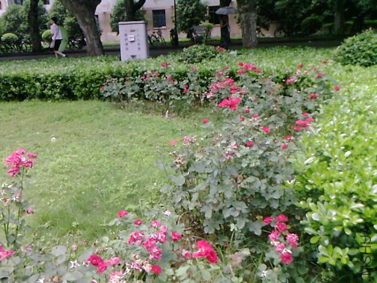 ��Ƭ-0496.jpg