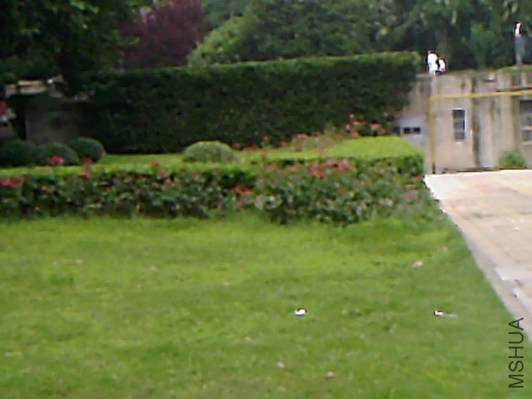 ��Ƭ-0495.jpg