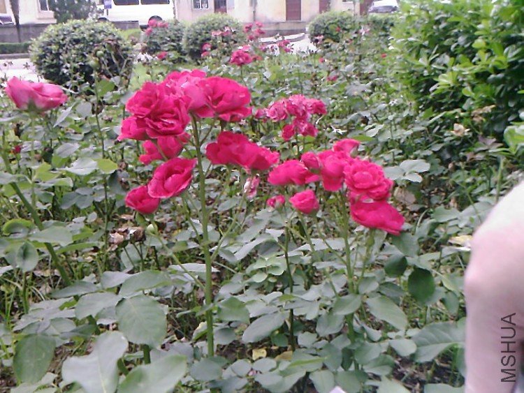 ��Ƭ-0494.jpg