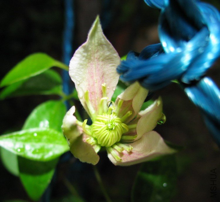 ��׿÷�� 2.jpg