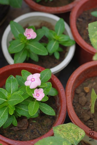 Ư���ı������մ�