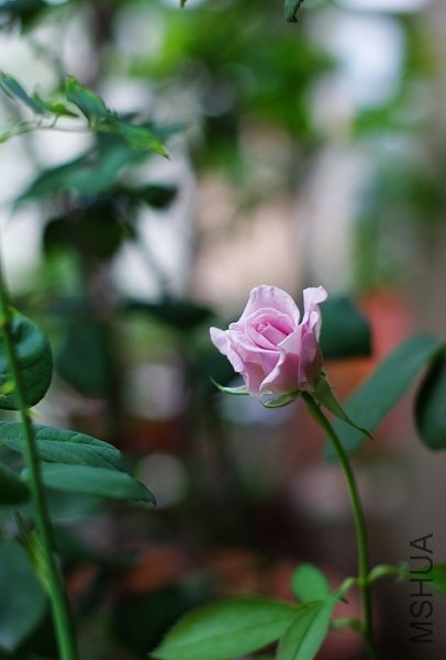 ��������˿��