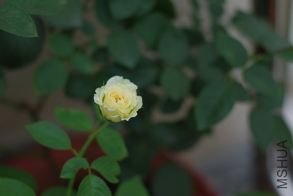 ����˹�غ�������