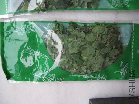 ������С ���� 106.jpg