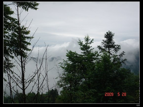 DSC08590.jpg