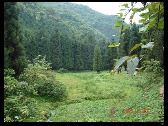 DSC08620.jpg