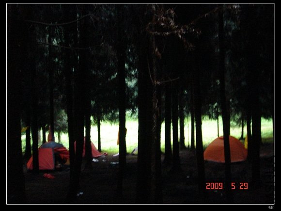 DSC08608.jpg