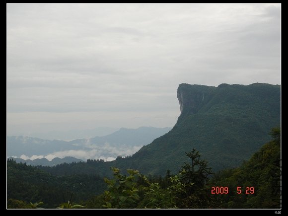 DSC08646.jpg