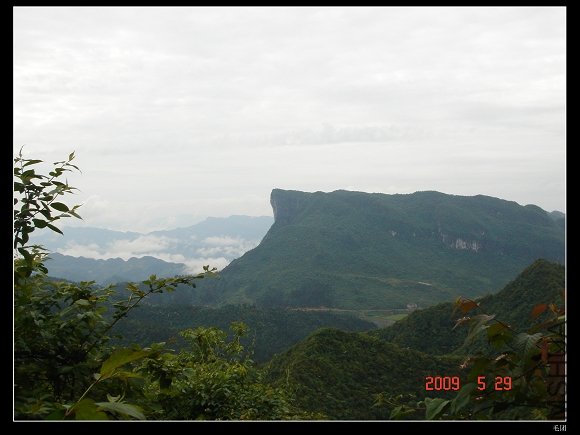 DSC08652.jpg