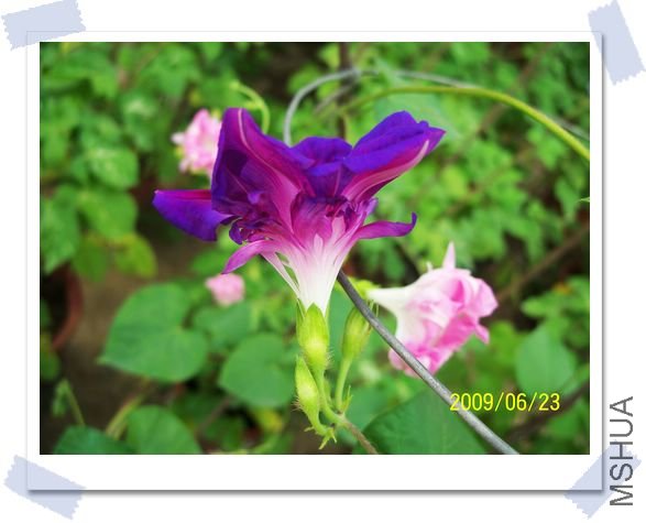 ���տ��� 016.jpg