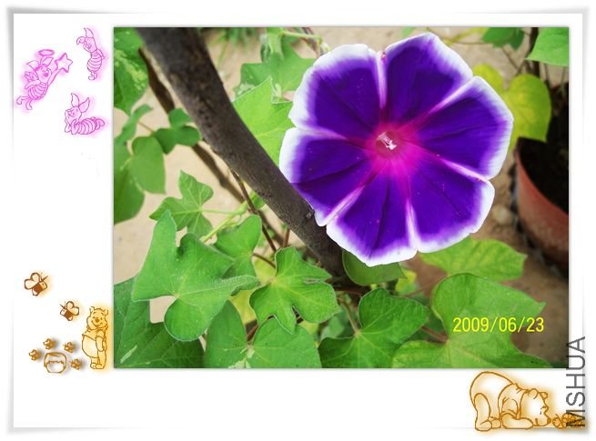 ���տ��� 011.jpg