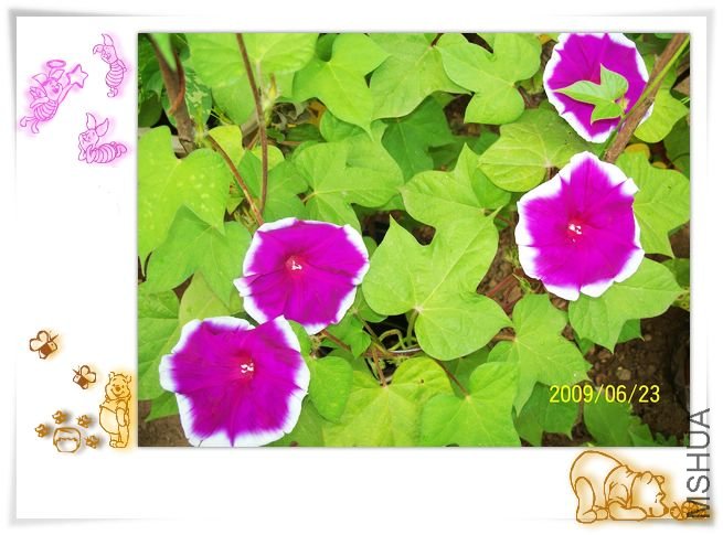 ���տ��� 007.jpg