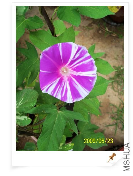 ���տ��� 015.jpg