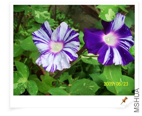 �����׹����ڿ�����������ɫ