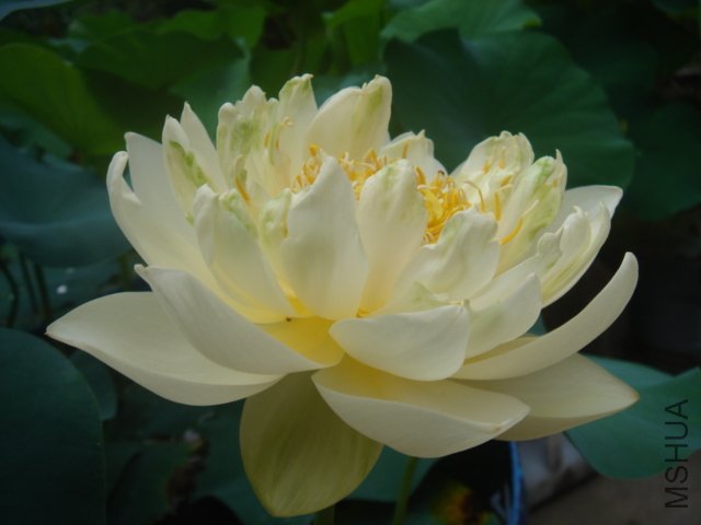 ���Ǹ���Ʒ��