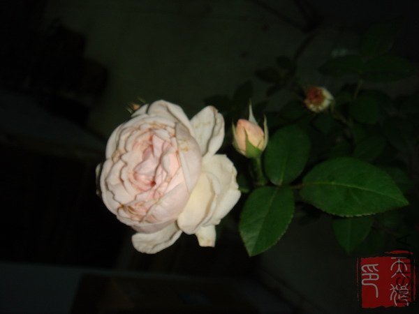 DSC04640.JPG